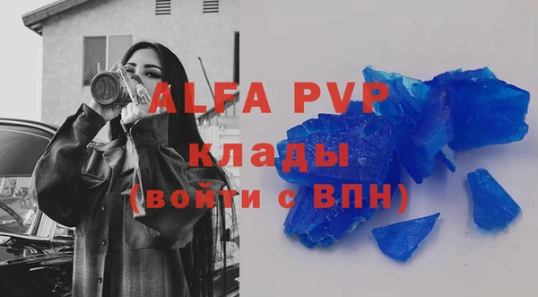 ECSTASY Алзамай